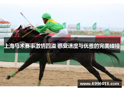 上海马术赛事激情四溢 感受速度与优雅的完美碰撞