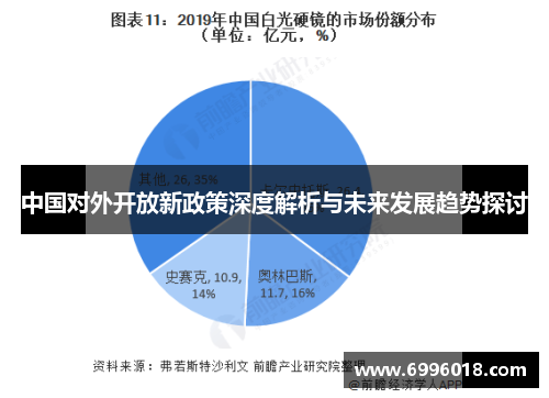 中国对外开放新政策深度解析与未来发展趋势探讨